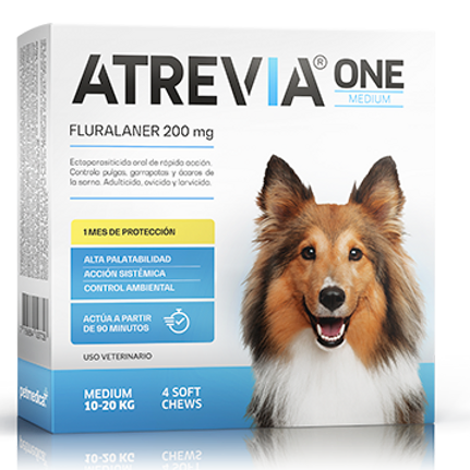 ATREVIA ONE TABLETA MASTICABLE - Caja 4 Tabletas