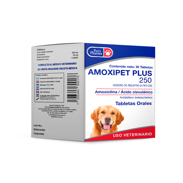 Amoxipet Plus 250mg